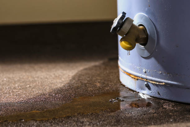 Best Carpet water damage restoration  in Pilot Rock, OR