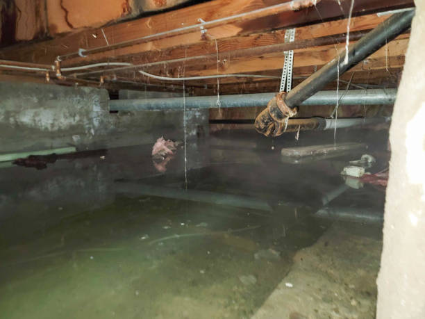 Best Commercial water damage restoration  in Pilot Rock, OR