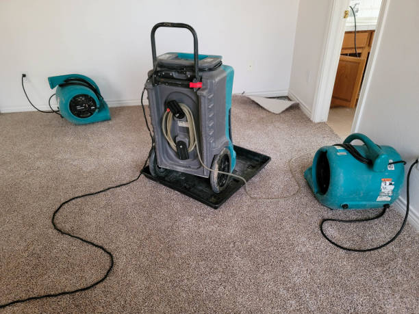 Best Water damage contractors near me  in Pilot Rock, OR