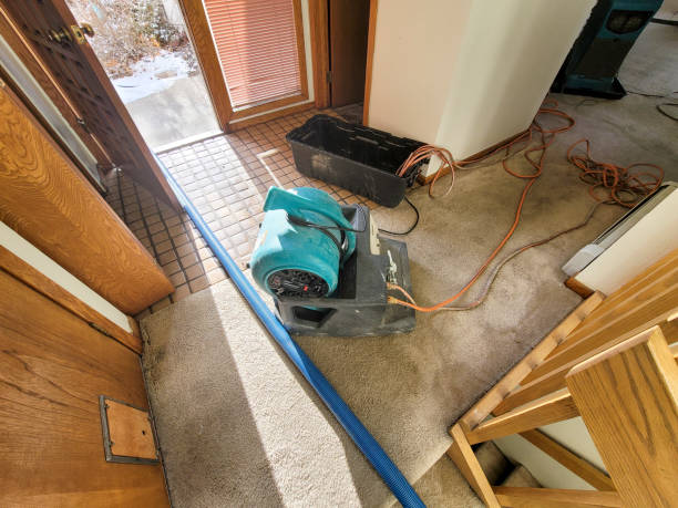 Reliable Pilot Rock, OR Water damage restoration Solutions