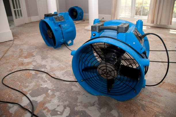 Best Water damage restoration near me  in Pilot Rock, OR