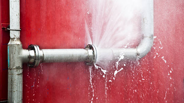 Best Professional water damage repair  in Pilot Rock, OR